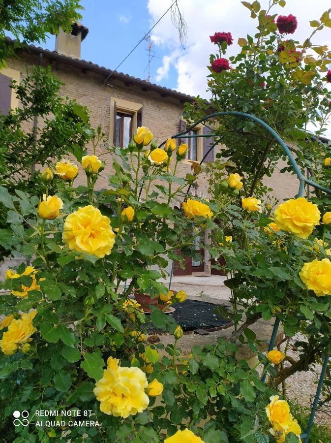 La Rosa Selvatica Panzió Ravarino Kültér fotó