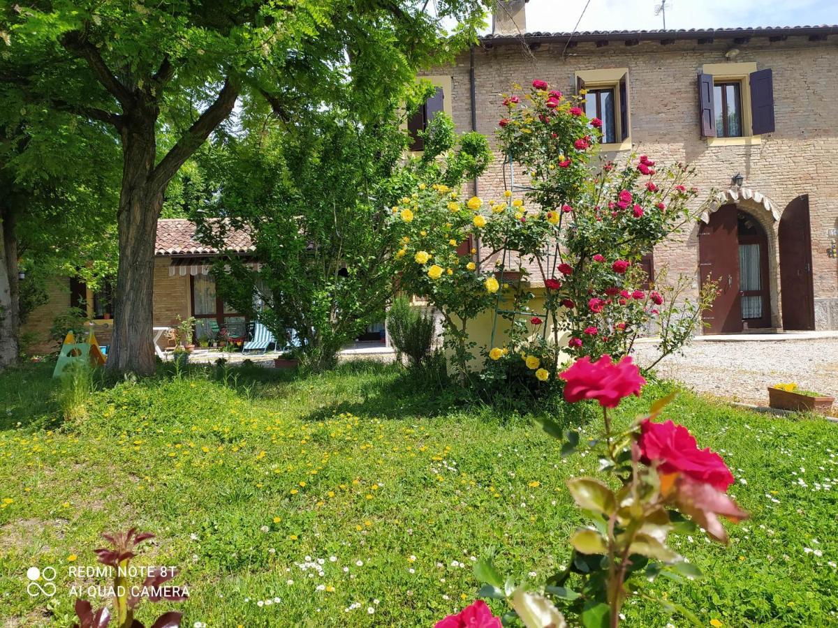 La Rosa Selvatica Panzió Ravarino Kültér fotó