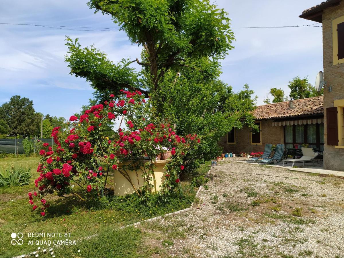 La Rosa Selvatica Panzió Ravarino Kültér fotó