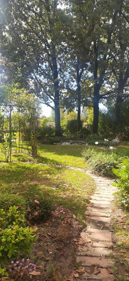 La Rosa Selvatica Panzió Ravarino Kültér fotó